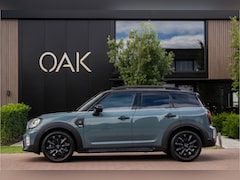 MINI Countryman - 2.0 Cooper S ALL4 | Navi | Panorama | Leder | ACC | Camera | 18"LM | Sage Green