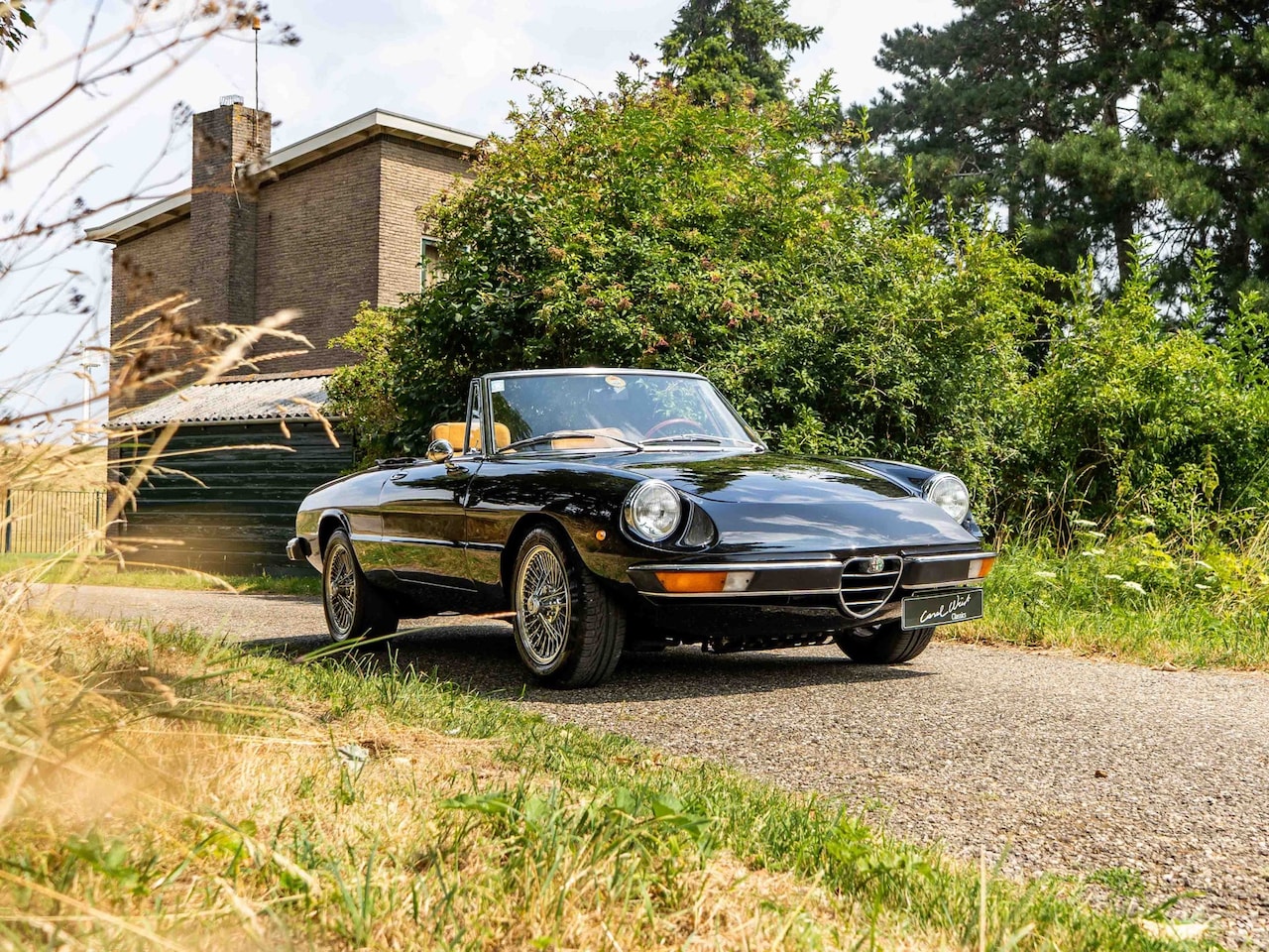 Alfa Romeo Spider - 1.6 orig. Nederlands geleverd! - AutoWereld.nl