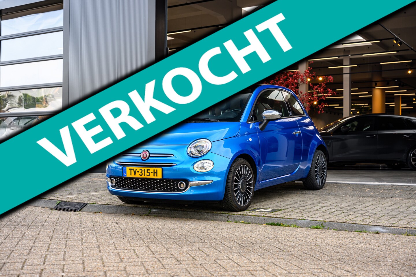 Fiat 500 - 0.9 TwinAir Turbo Collezione|Glazen Dak|Cruise Control|Carplay| - AutoWereld.nl