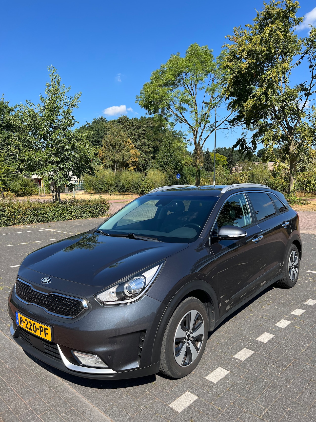 Kia Niro - 1.6 GDi Hybrid DynamicLine - AutoWereld.nl