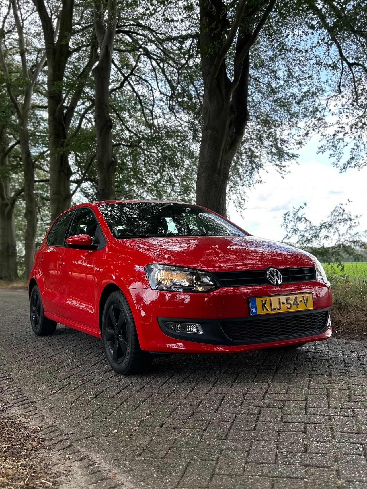 Volkswagen Polo - 1.4-16V Comfortline - AutoWereld.nl