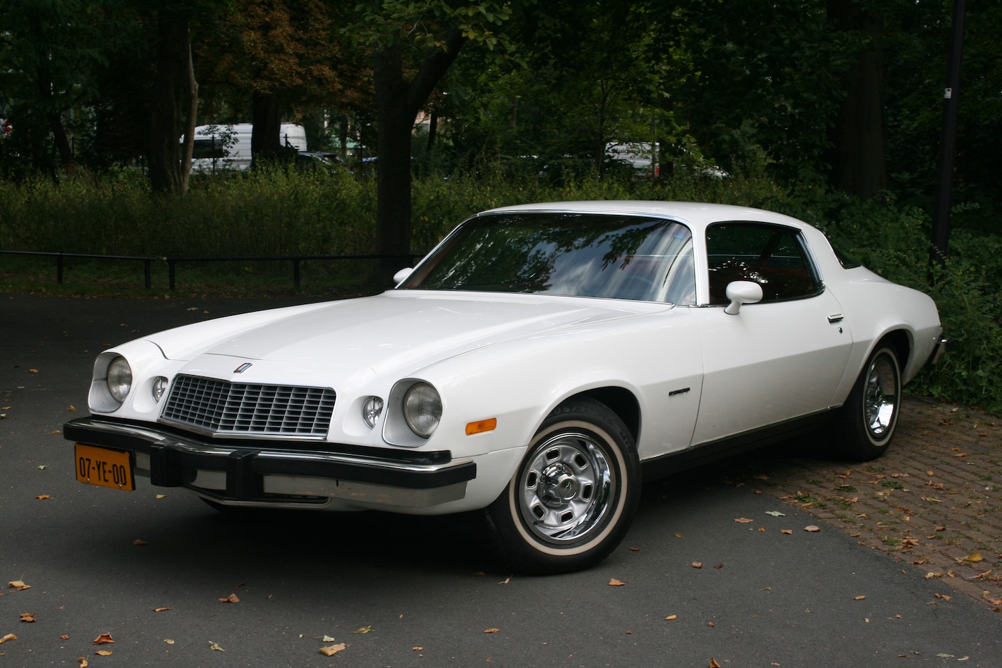Chevrolet Camaro - chevrolet camaro l.t. 1977 - AutoWereld.nl