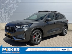 Ford Kuga - Plug-In Hybrid ST-Line X PANODAK WINTERPACK
