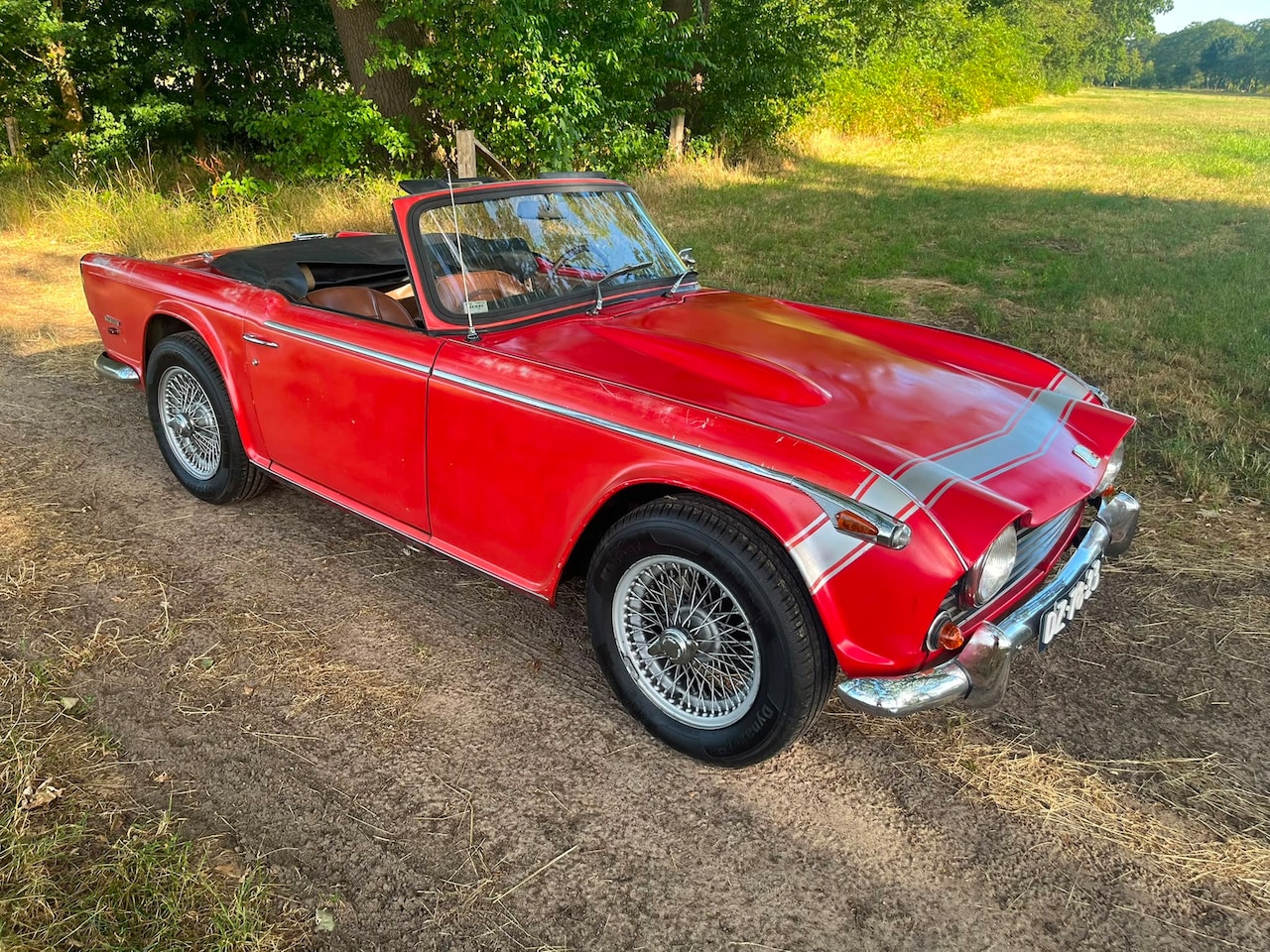 Triumph TR5 - Gereviseerde motor - AutoWereld.nl