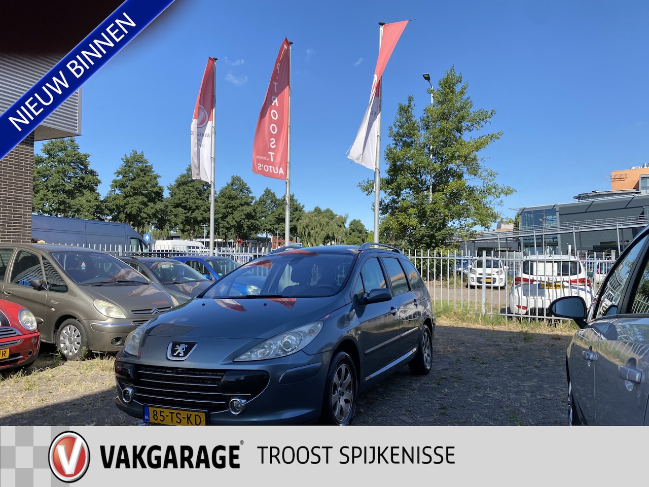 Peugeot 307 SW - 1.6-16V Premium 1.6-16V Premium,100%Onderhouden,Climate&Cruisecontrol,Elektrischpakket,Trekhaak,15Inch Lmv - AutoWereld.nl