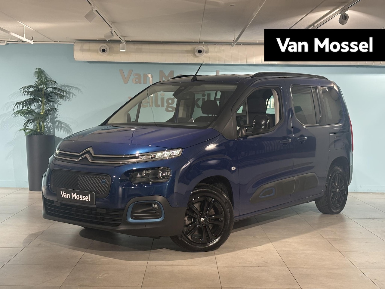 Citroën ë-Berlingo - Feel 50 kWh | Camera achter | Lichtmetalen velgen | Cruise control | Apple Carplay - Andro - AutoWereld.nl