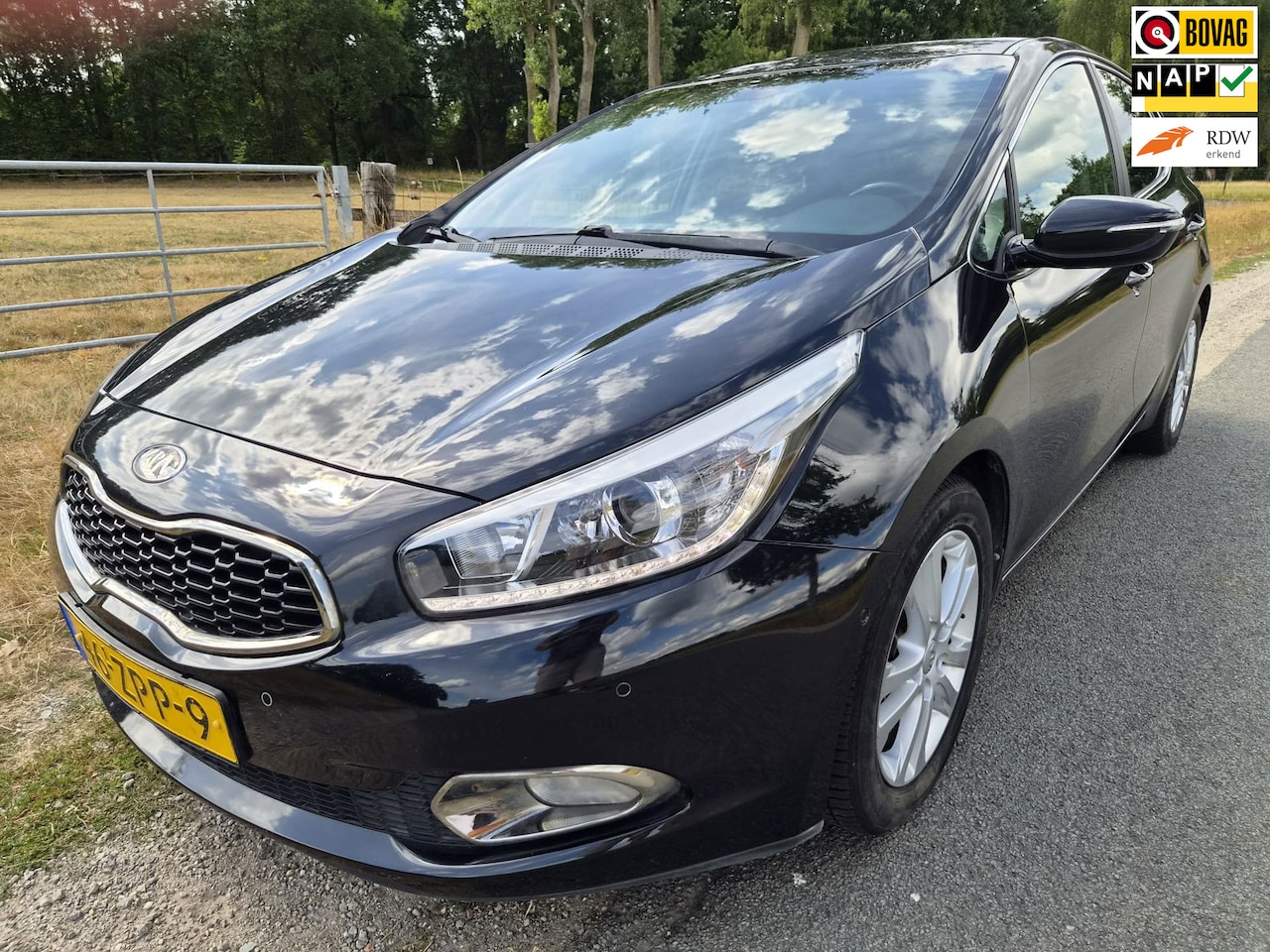 Kia Cee'd - 1.6 GDI Super Pack zeer betrouwbaar rijdt heerlijk - AutoWereld.nl