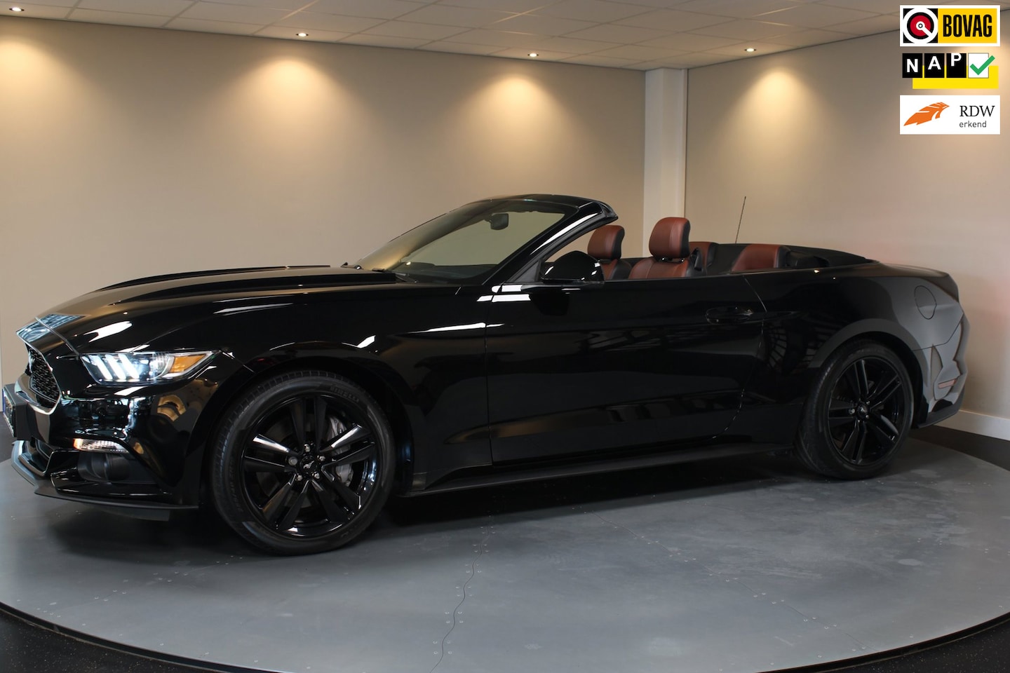 Ford Mustang Convertible - 2.3 EcoBoost *13.000Km* 317Pk! Shaker|Camera|Stoelverw./verkoeling|Org.NL/NAP - AutoWereld.nl