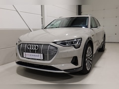 Audi e-tron - e-tron 55 quattro advanced Pro Line Plus 95 kWh I Siambeige I Virtual Mirrors I Full optio