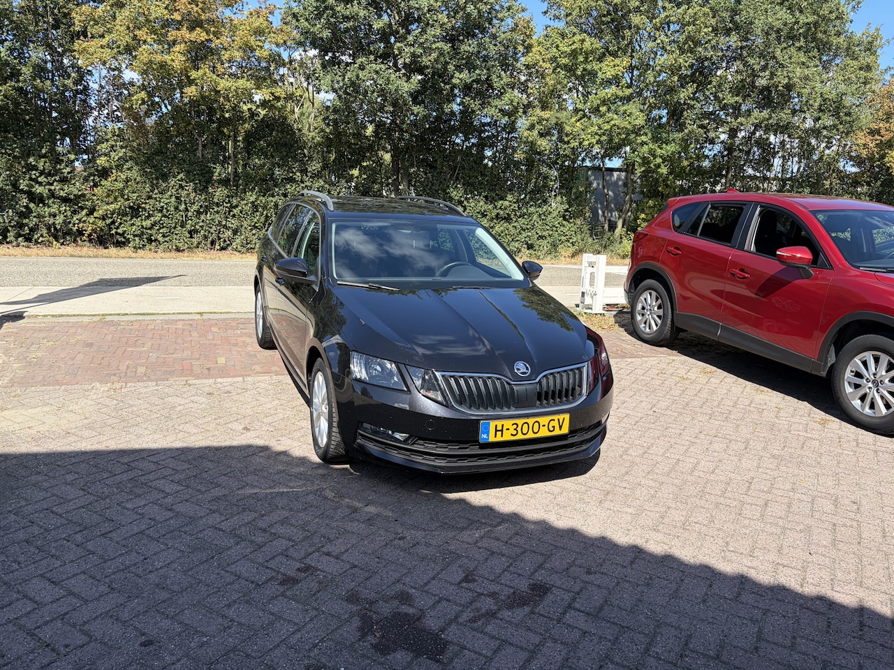 Skoda Octavia Combi - 1.0 TSI Greentech Business Edition TREKHAAK STOELVERWARMING PDC - AutoWereld.nl