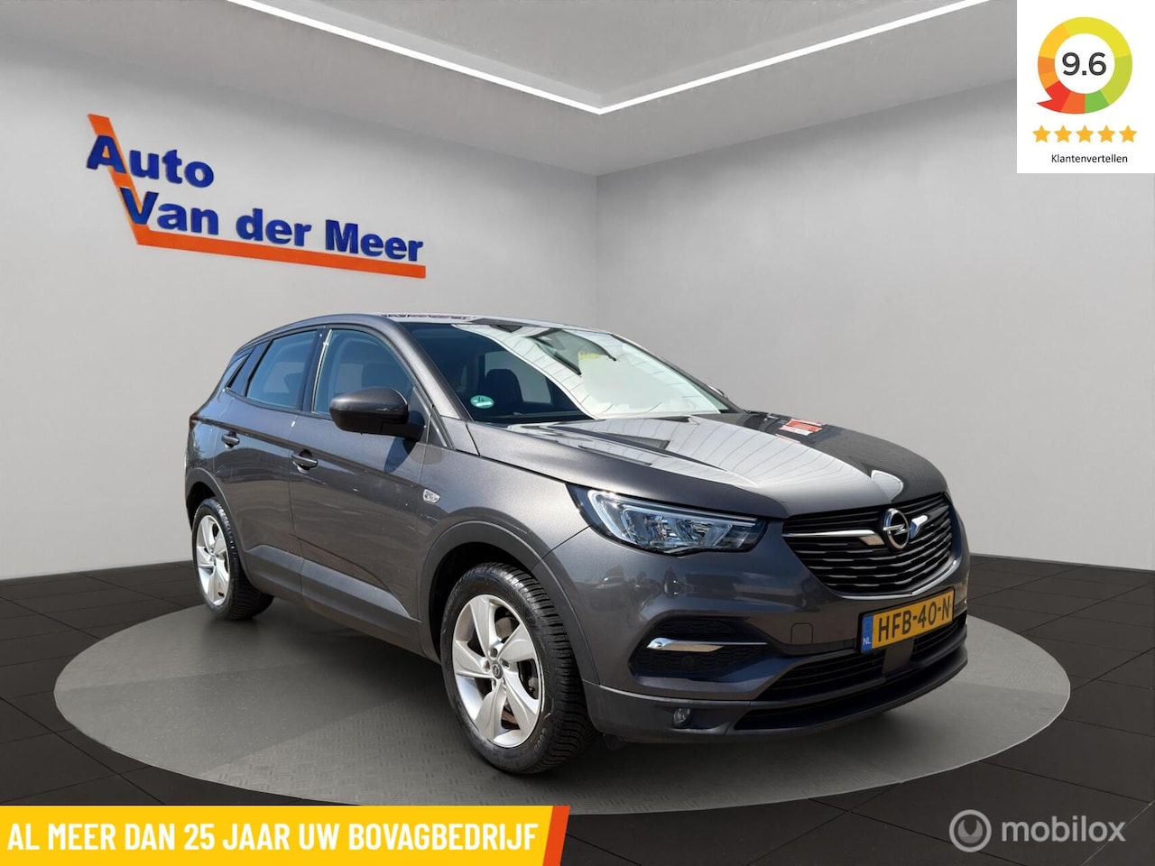 Opel Grandland X - 1.6 Turbo Hybrid4 Business Elegance 1.6 Turbo Hybrid4 Business Elegance/ 300 PK - AutoWereld.nl
