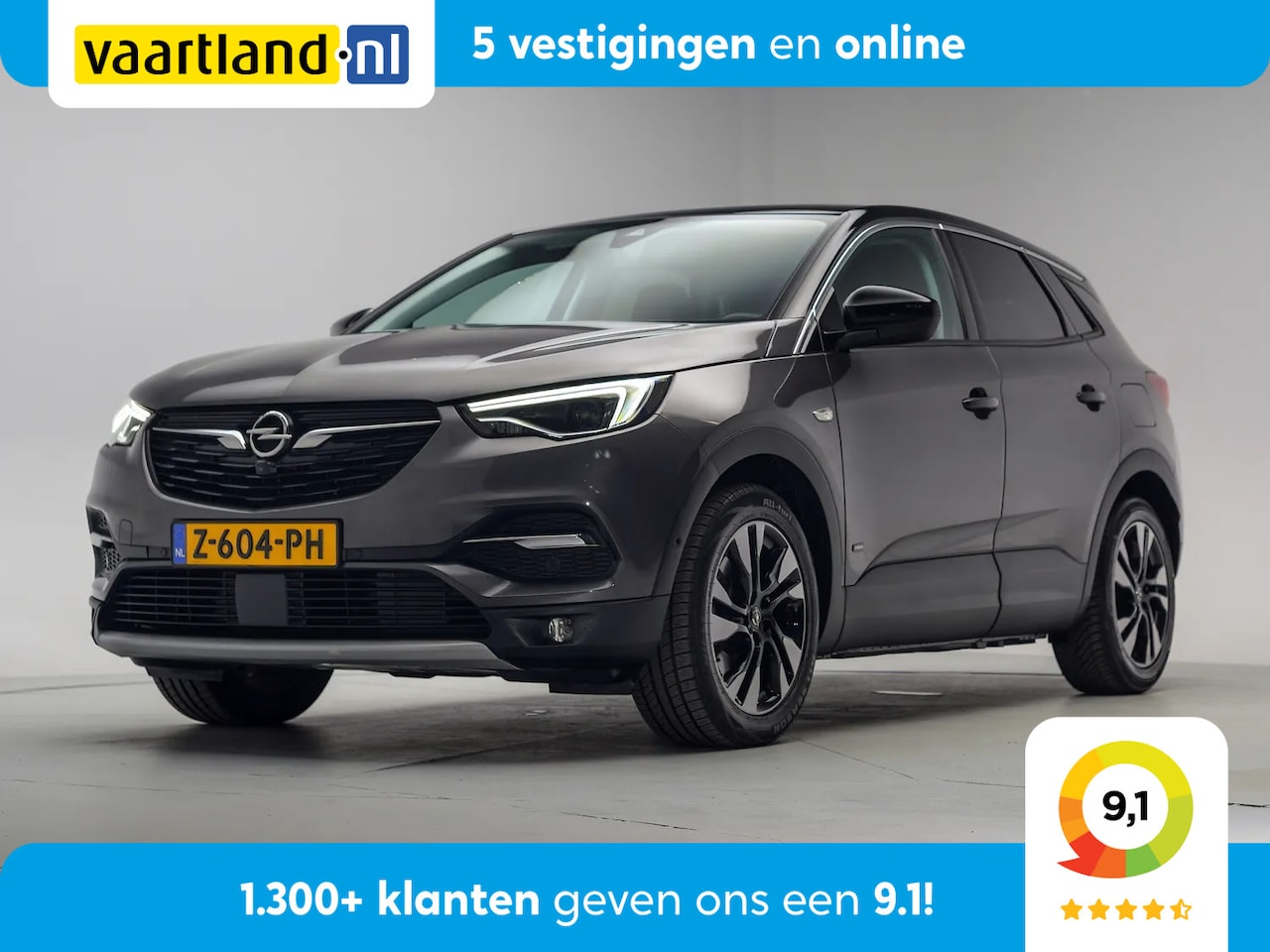 Opel Grandland X - 1.6 Turbo Hybrid Innovation Aut. [ Leder Camera Stoelkoeling/Verwarming ] - AutoWereld.nl
