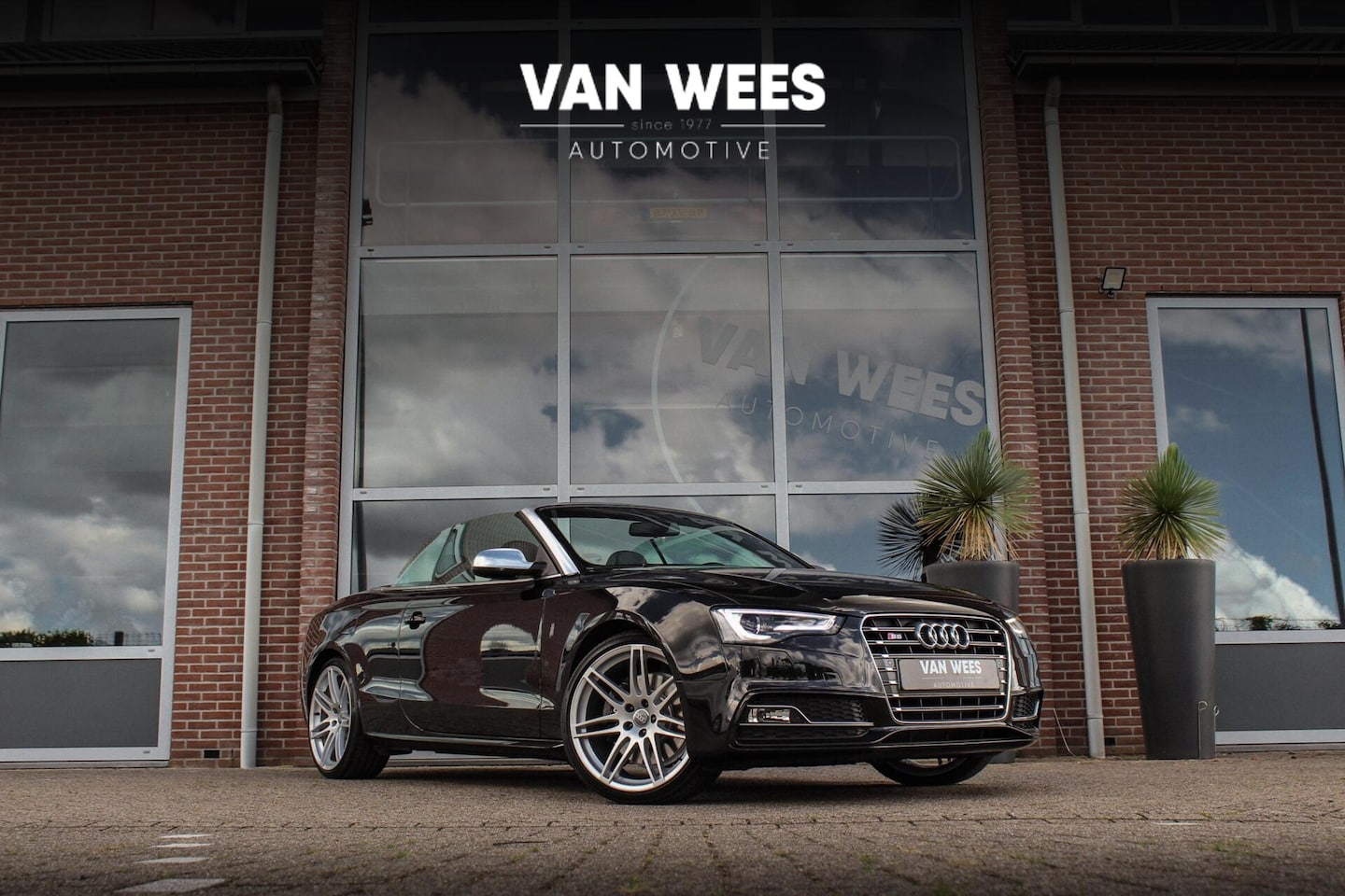 Audi S5 - 3.0 TFSI Cabriolet quattro Pro Line | 2e eigenaar | B&O audio | Nekverwarming | Stoelventi - AutoWereld.nl
