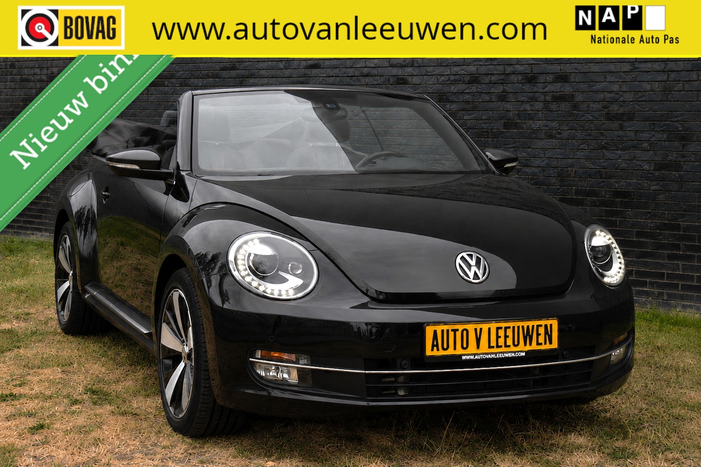 Volkswagen Beetle Cabriolet - Turbo Club XENON-LED/CAMERA/PDC/STOELVW/PDC/ETC.! - AutoWereld.nl