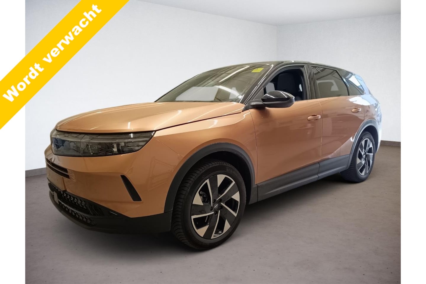 Opel Grandland - 1.2 Turbo Hybrid GS Trekhaak/Panorama dak/all seasons banden. - AutoWereld.nl