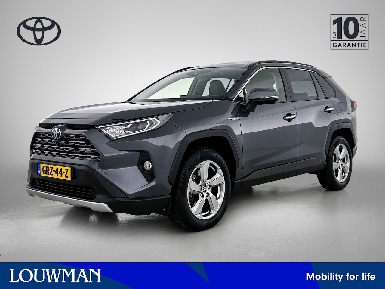 Toyota RAV4 - 2.5 Hybrid Executive 2.5 Hybrid Executive - AutoWereld.nl