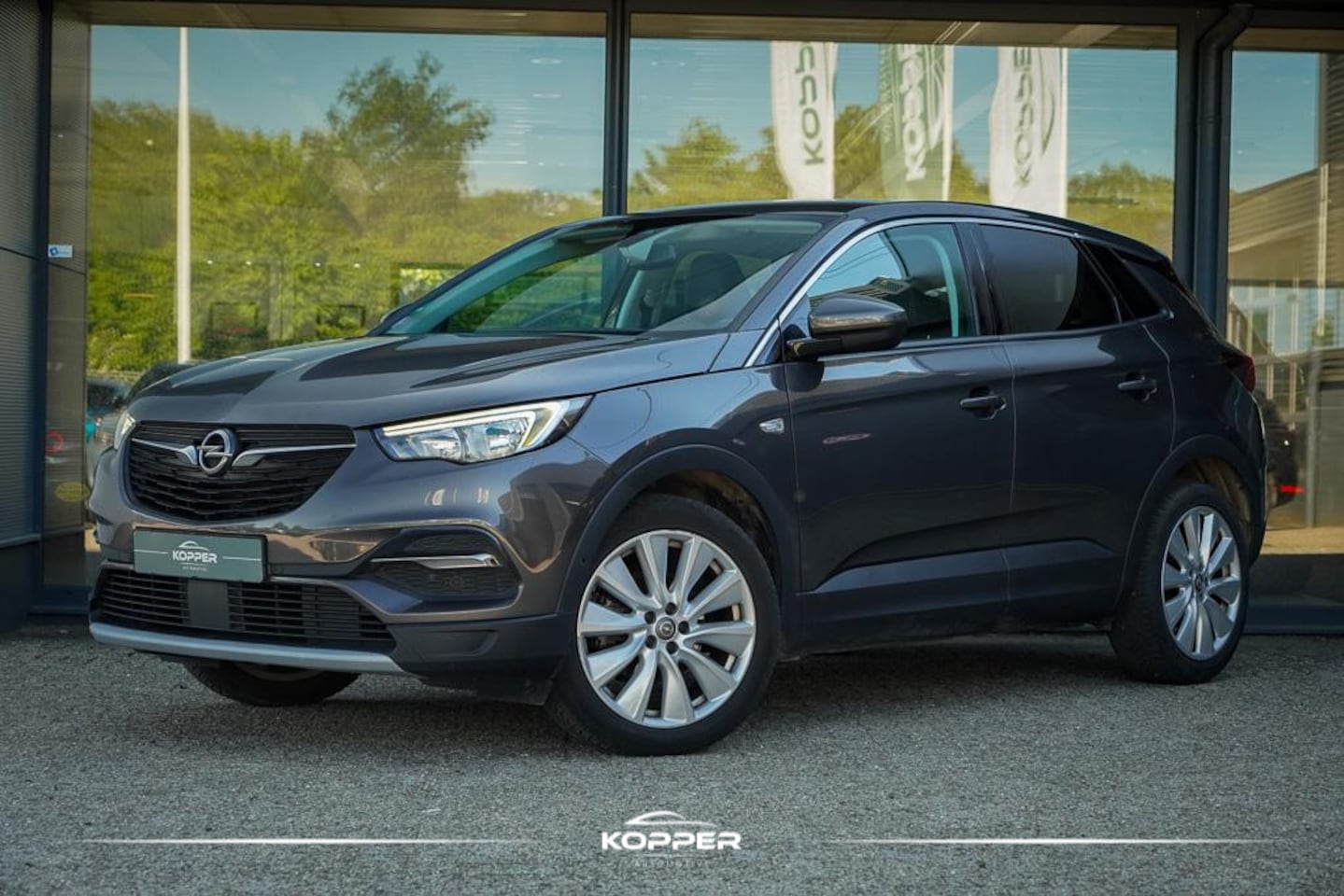 Opel Grandland X - 1.2 Turbo Business Executive / Leder / Trekhaak / Stoelverwarming+ventilatie / Riem Vervan - AutoWereld.nl