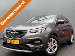 Opel Grandland X - BWJ 2021 1.2 Turbo 131 PK Business Elegance PANO | CAMERA | DAB | DODE HOEK | CARPLAY+ AND