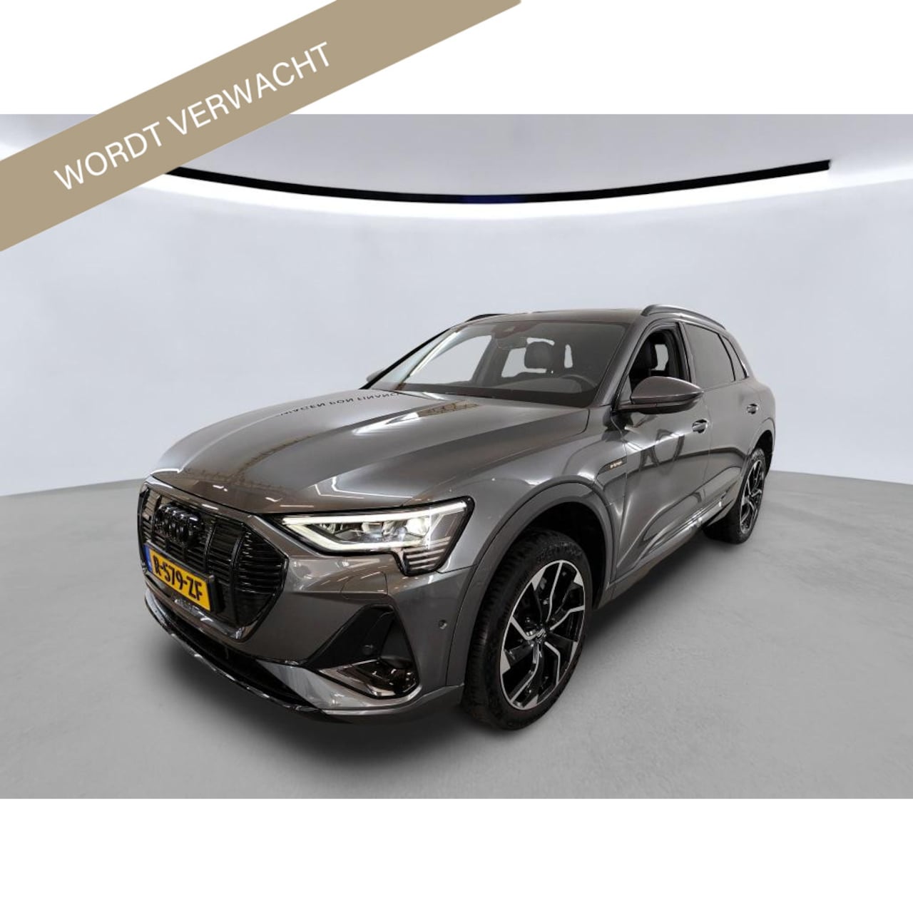 Audi e-tron - 55 quattro S-Line 95 kWh PANO TREKHAAK CAMERA - AutoWereld.nl