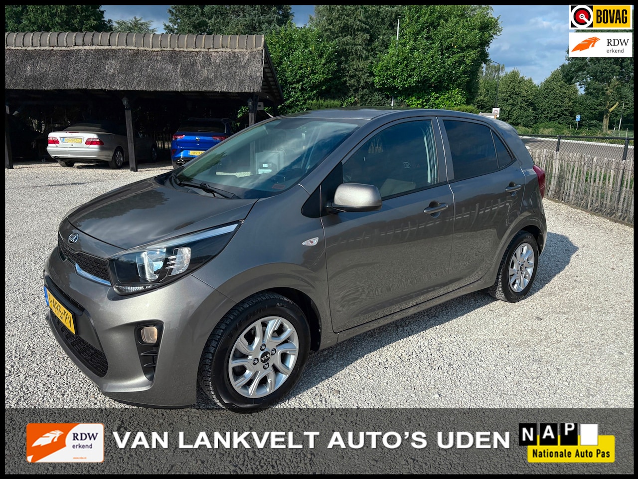 Kia Picanto - 1.2 CVVT X-Line Sport Carplay, Stoelverw. Camera - AutoWereld.nl