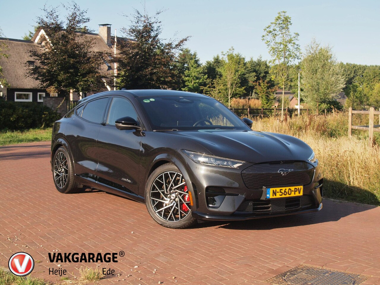 Ford Mustang Mach-E - GT Extended AWD 98 kWh | 486 PK | Trekhaak | Panoramadak | Bang & Olufsen | 360 Camera | - AutoWereld.nl