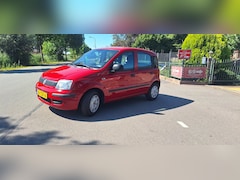 Fiat Panda - 1.2 Classic