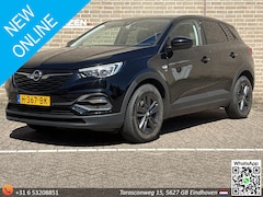Opel Grandland X - 1.2 Turbo 120 Jaar Edition | Navi | Climate | Cruise | Camera