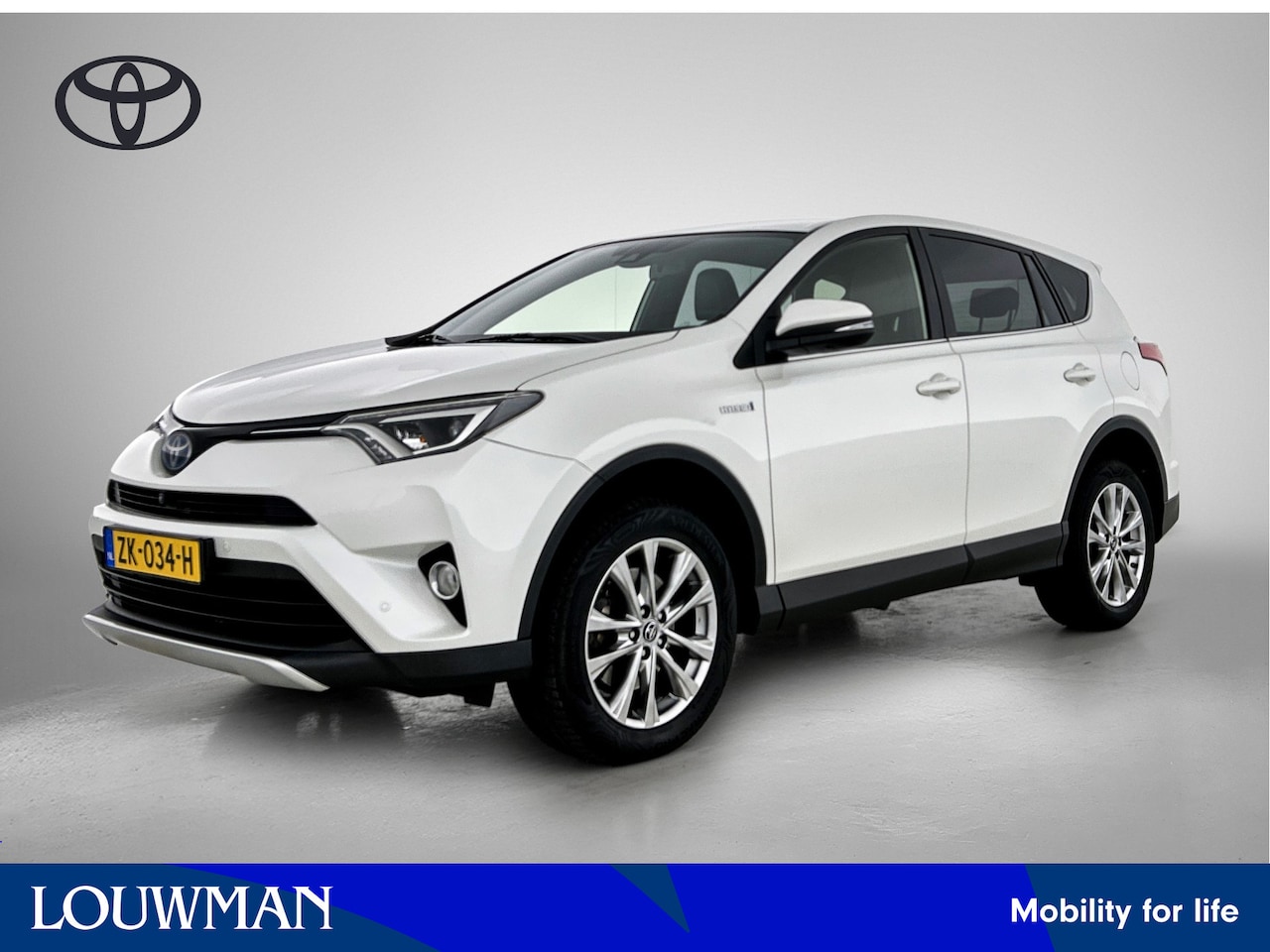 Toyota RAV4 - 2.5 Hybrid Executive Business | Trekhaak | Navigatie | Parkeersensoren - AutoWereld.nl