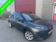 Citroën C4 Cactus - 1.6 BlueHDi Business Camera Panorama