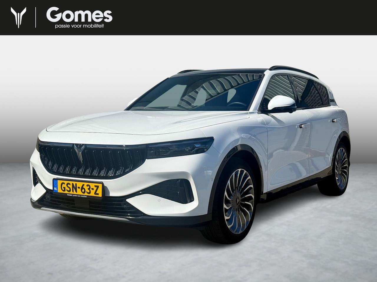 Voyah Free - Business Edition 4WD 106 kWh Business Edition 4WD 106 kWh - AutoWereld.nl