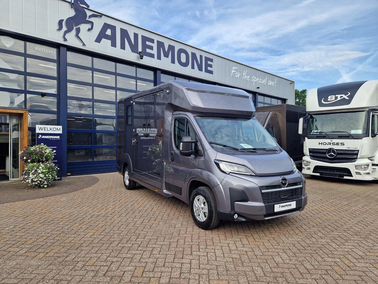 Opel Movano - AKX S3 nieuw paardenwagen Automaat Pro-safety hengsten uitvoering id:11 - AutoWereld.nl