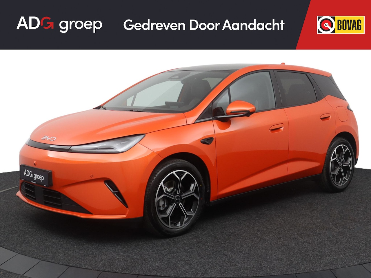 BYD DOLPHIN G - 1.5L DM-i Active 1020 km gecombineerd bereik | 16 inch lichtmetalen velgen | Android auto - AutoWereld.nl