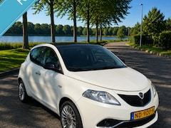 Lancia Y(psilon) - Ypsilon 0.9 TwinAir Platinum Automaat