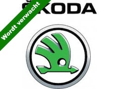 Skoda Kodiaq - 1.5 TSI Busn. Ed. 7p. NL-Auto / 7 Persoons / Led verl / Clima