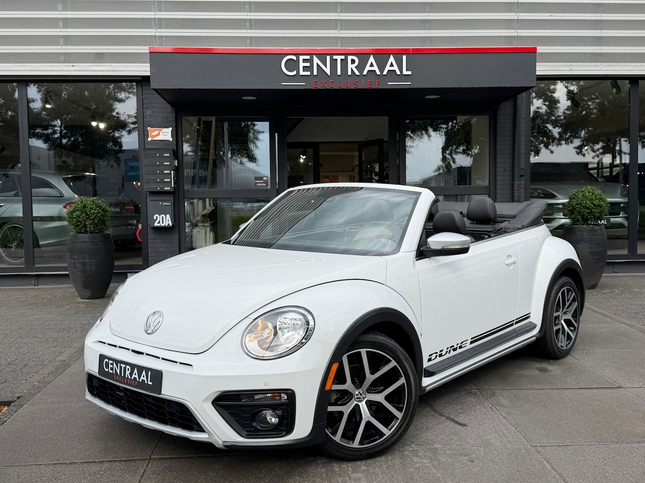 Volkswagen New Beetle Cabriolet - Dune 170PK|Camera|CruisC. - AutoWereld.nl