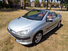 Peugeot 206 - 20-3-2027 a p k