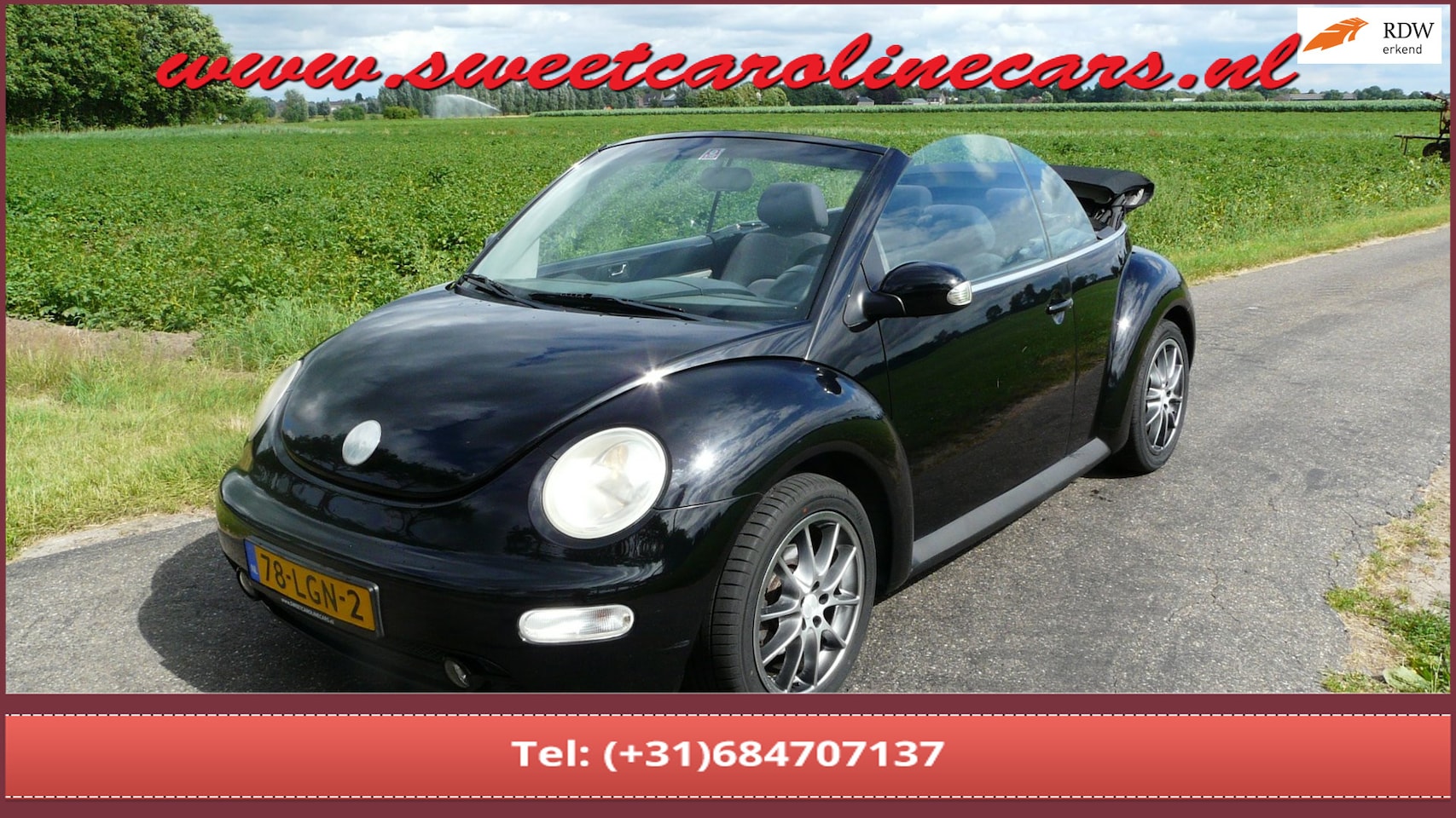 Volkswagen New Beetle Cabriolet - 1.4 Highline 1.4 Highline,Airco,Elec.pakket,Lmv's! - AutoWereld.nl