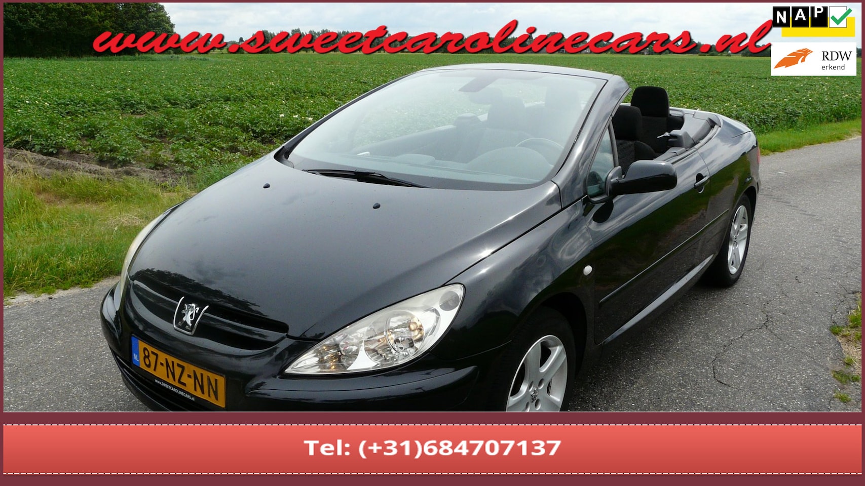 Peugeot 307 CC - 2.0-16V 2.0-16V,Airco,Elec.pakket,Lmv's,grootbeeld Navi/achteruit rij camera! - AutoWereld.nl