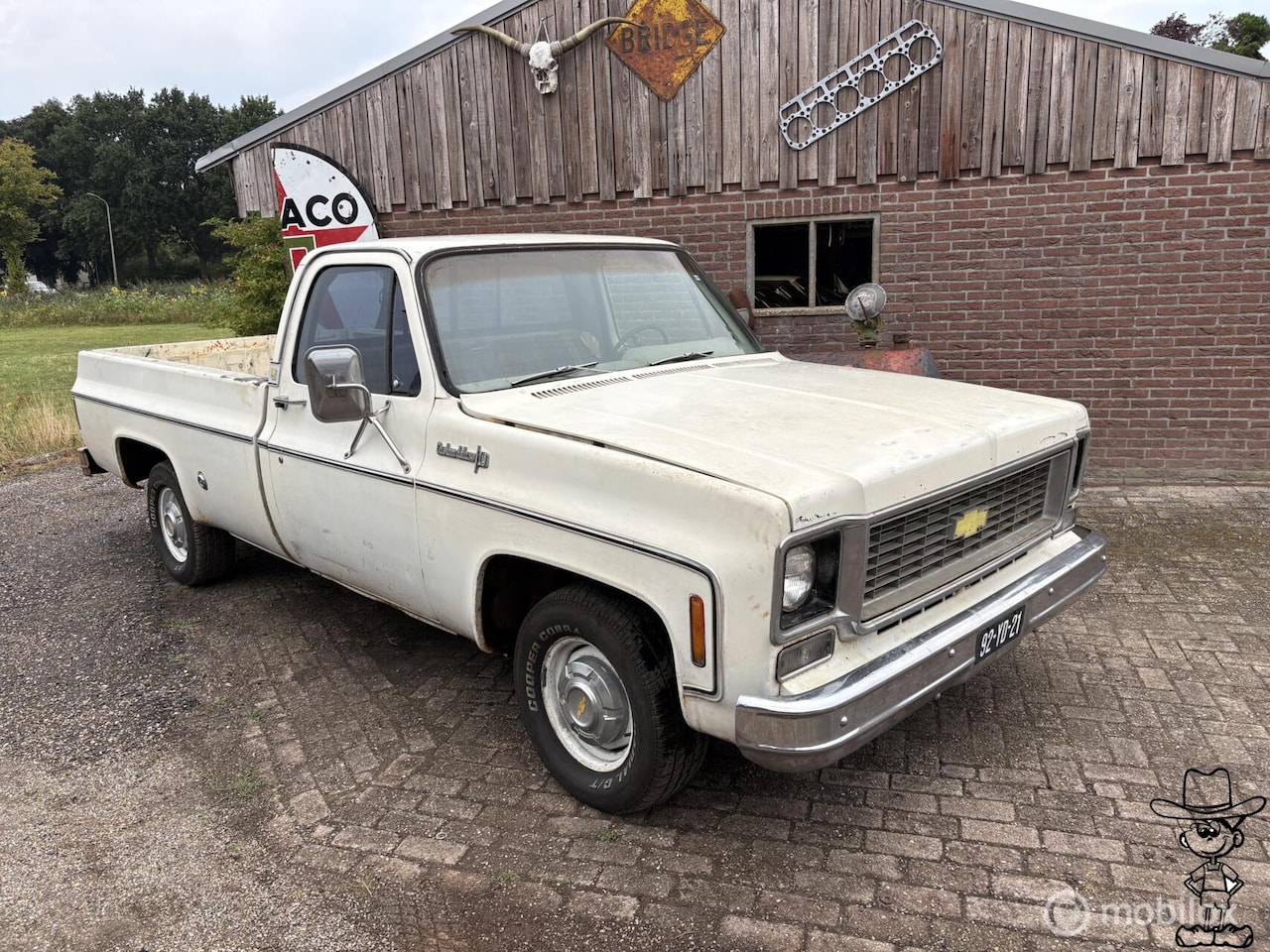 Chevrolet C10 - USA Pick up v8 LPG - AutoWereld.nl