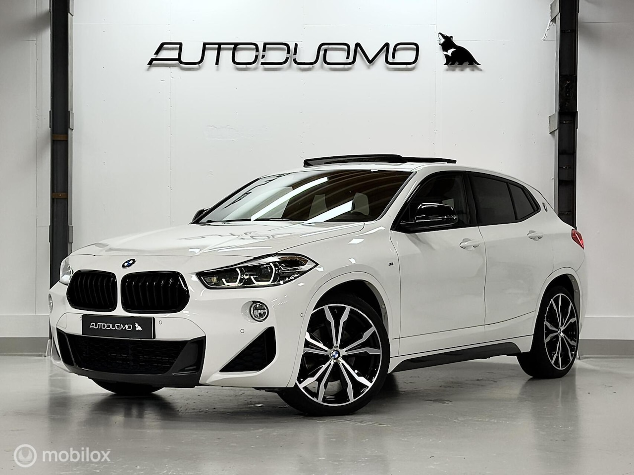 BMW X2 - sDrive18i High Executive M Sport | Pano | Leer | 20" | Sfeerverlichting | Full LED | Stoel - AutoWereld.nl