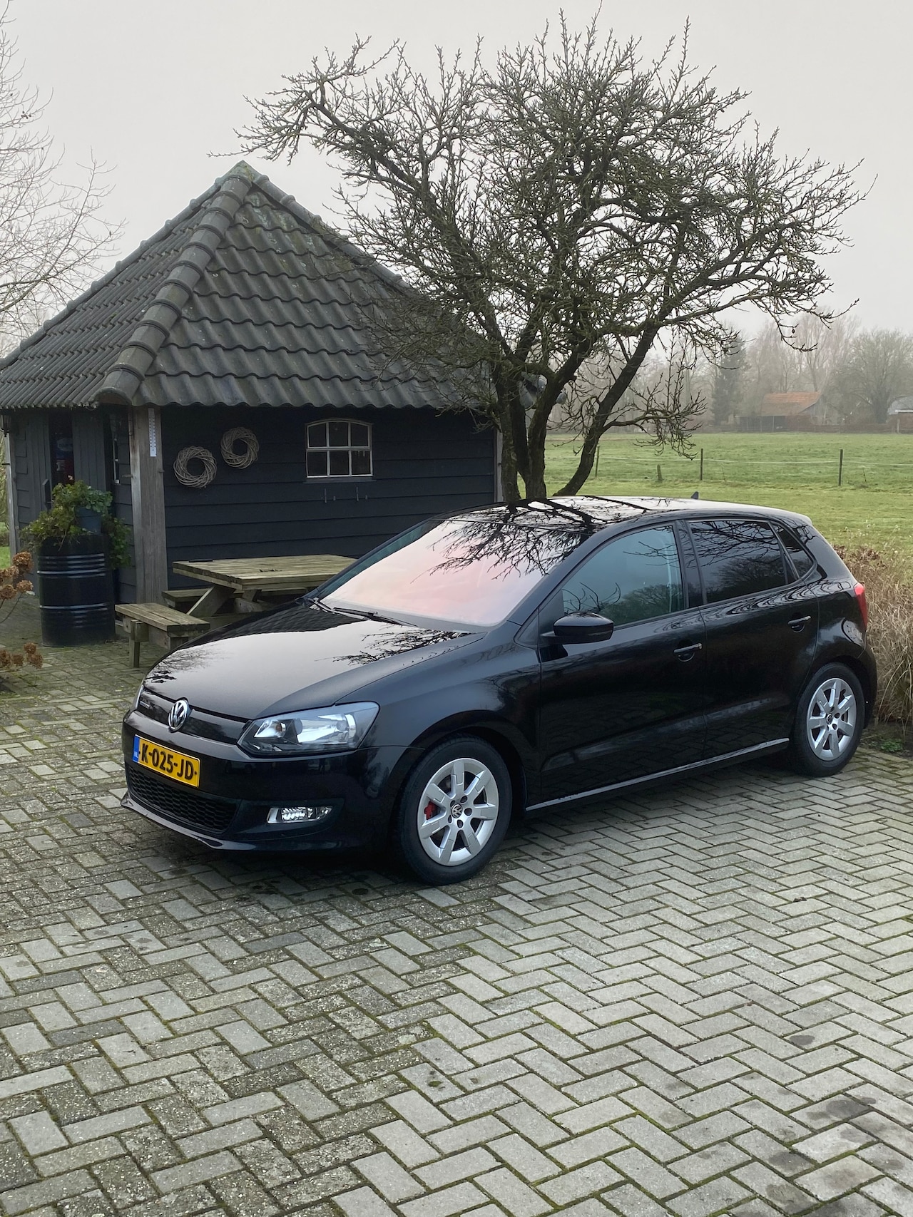 Volkswagen Polo - 1.4-16V Trendline - AutoWereld.nl