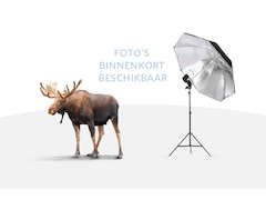 Polestar 2 - 2 Long Range Single Motor 78 kWh