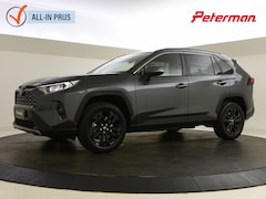 Toyota RAV4 - 2.5 Hybrid Dynamic | Navigatie | Elektrische achterklep | DAB