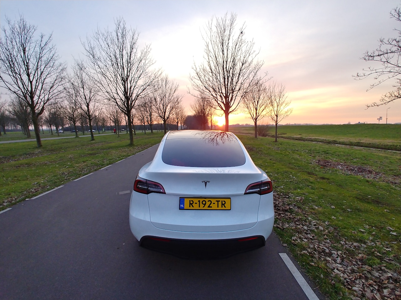 Tesla Model Y - RWD - AutoWereld.nl