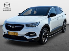 Opel Grandland X - 1.2 Turbo Business Executive | Carplay | Camera | SideSteps