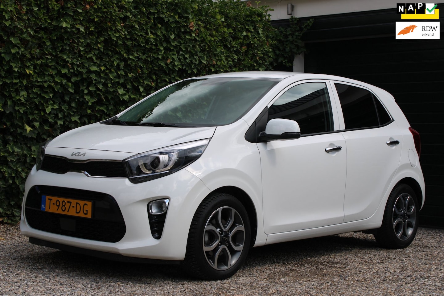 Kia Picanto - 1.0 DPi DynamicPlusLine | Achteruitrijcamera | Climate control | Navi - AutoWereld.nl