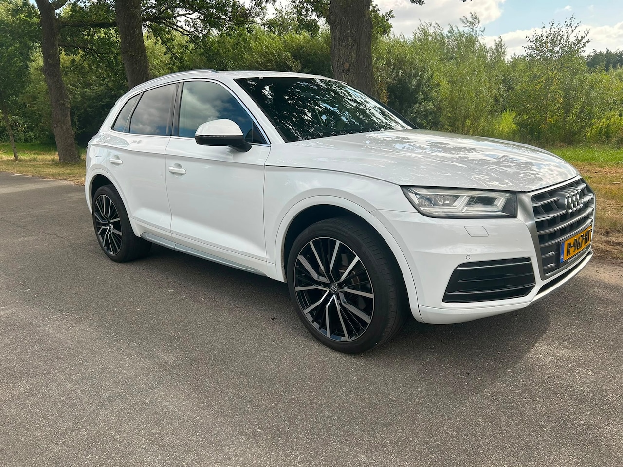 Audi Q5 - 2.0 TDI quattro Design Pro Line Plus 2.0 TDI quattro Design Pro Line Plus - AutoWereld.nl