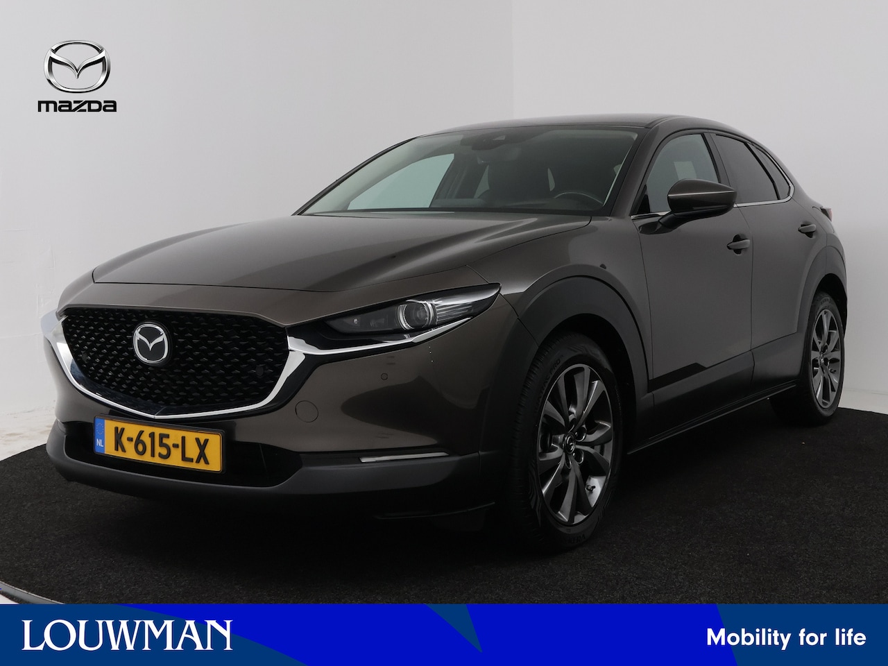 Mazda CX-30 - 2.0 e-SkyActiv-X M Hybrid Luxury | BOSE | Camera | Stuur-/Stoelverwarming | Stoelgeheugen - AutoWereld.nl