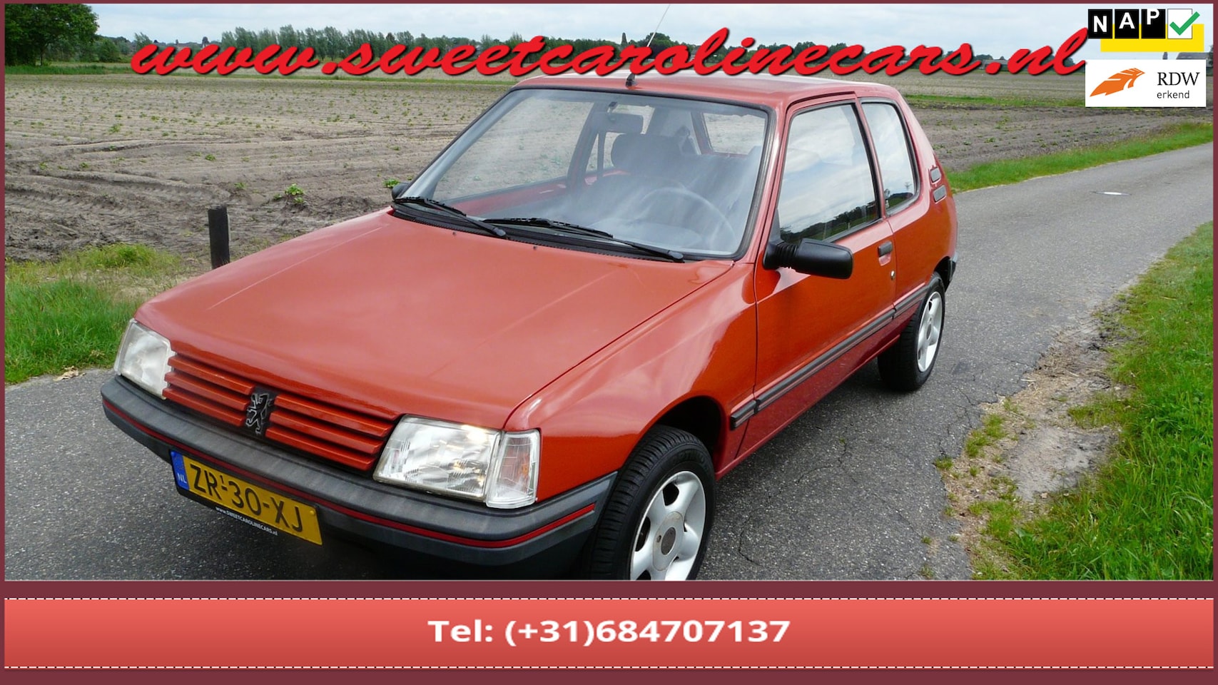 Peugeot 205 - 1.1i XE Accent 1.1i XE Accent,Lmv's,Sportdemper, 1e EIGENAAR! - AutoWereld.nl
