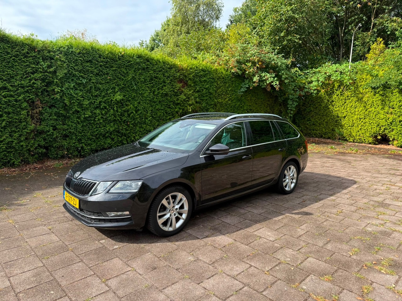 Skoda Octavia Combi - 1.6 TDI Greentech Style Business automaat - AutoWereld.nl